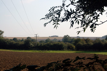 Looking east from Sandye Lane September 2008